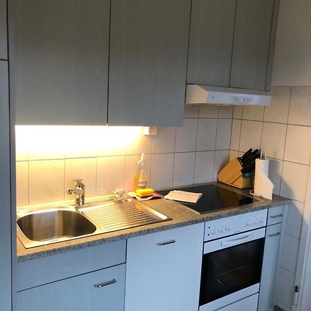 Cozy, Sunny, City Center 1 Bedroom Flat Zürich Eksteriør bilde