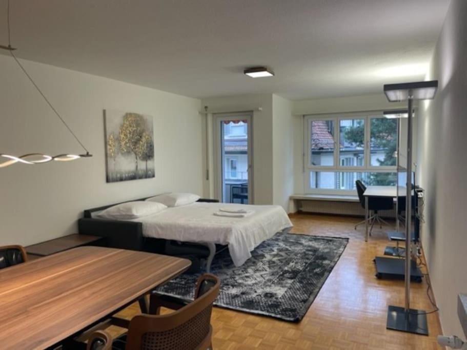 Cozy, Sunny, City Center 1 Bedroom Flat Zürich Eksteriør bilde