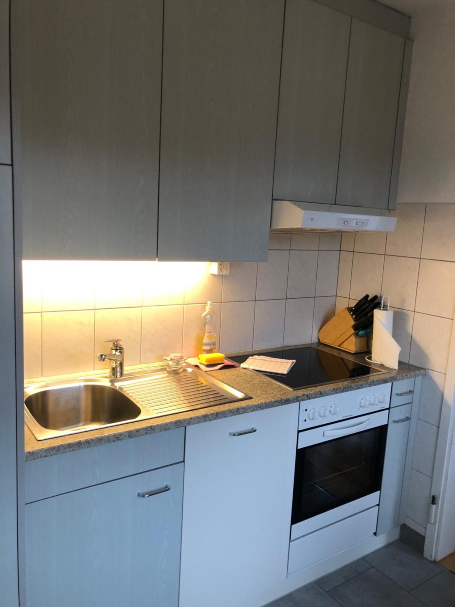 Cozy, Sunny, City Center 1 Bedroom Flat Zürich Eksteriør bilde